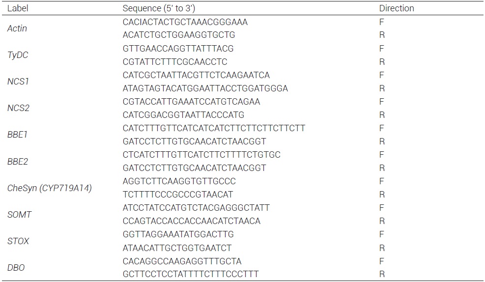 Sequence of the primers used for
PCR amplification (Xool-Tamayo et al., 2017 a, b). See Figure 1 for
abbreviations.