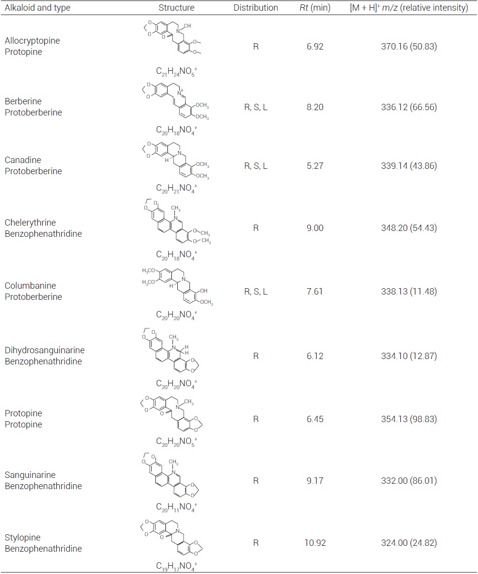 Alkaloids detected in the extracts
from roots (R), stems (S) and leaves (L) from A. mexicana. Alkaloids
were identified according their chromatographic retention time (Rt)
and positive-ion ESI mass spectra. 

 