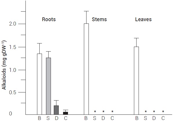 Alkaloid contents in roots, stems and leaves of A.
mexicana plants. B: berberine; S: sanguinarine; D: dihydrosanguinarine;
C: chelerythrine; *: Undetected. Average of three replications with standard
error.