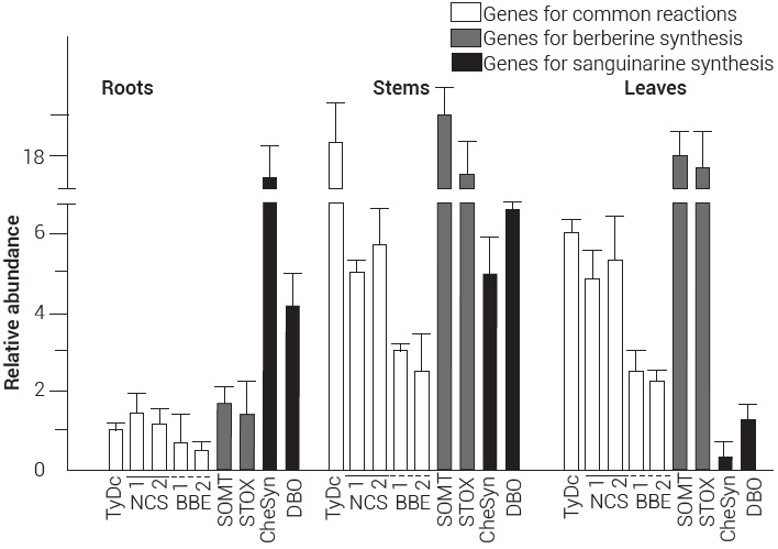 Distribution and relative
abundance of alkaloid biosynthetic transcripts in tissues of A.
mexicana. Average of three replications with standard error. Enzyme
acronyms as in Figure 1. 

 