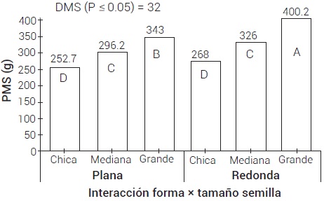 Peso de mil semillas (PMS) de dos formas y tres tama&ntilde;os de semilla del
h&iacute;brido de ma&iacute;z H-135. Medias con letras iguales no son estad&iacute;sticamente
diferentes (Tukey, 0.05). 

 
