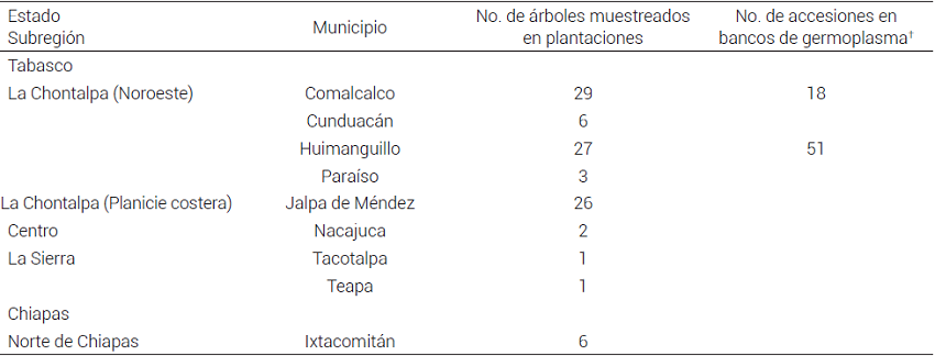  Sitios y n&uacute;mero de colectas de cacao realizadas en
plantaciones de Tabasco y Chiapas, M&eacute;xico, usadas en el estudio.