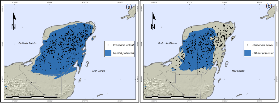 Mapa del hábitat climático (área en azul) para Lysiloma latisiliquum (L.) para
(a) clima contemporáneo (1961 a 1990), y (b) futuro (década centrada en el año
2030). Símbolos indican registros de presencia según el Inventario Nacional
Forestal y de Suelo (INFS) (CONAFOR, 2009a, 2009b).