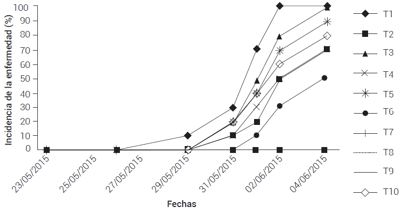 Curva de progreso de la enfermedad en la confrontación in vivo. T1, cepa Pe42; T2, cepa Pe45; T3, cepa Pe12; T4, cepa Pe33; T5, cepa Pe32; T6, cepa Pe47; T7, cepa Pe40; T8, cepa Pe19; T9, cepa Pe01;  T10, testigo con patógeno, sin antagonista.