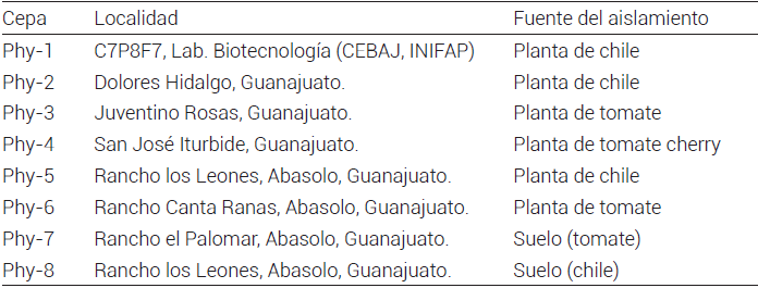  Origen de los aislamientos de Phytophthora capsici. 