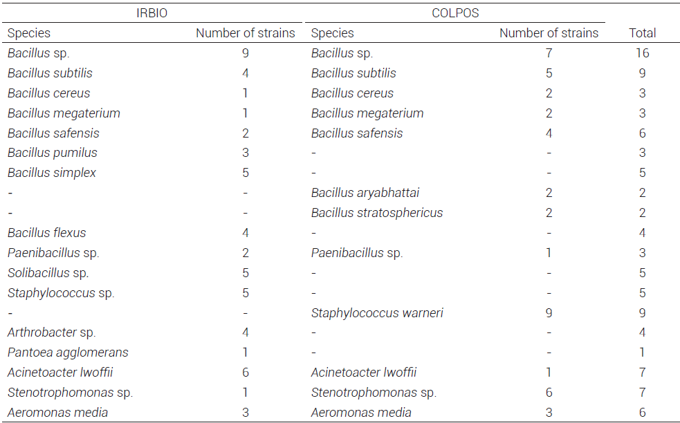 Bacterial species identified in the digestive tract of Eisenia foetida individuals from IRBIO and COLPOS using 16S rRNA gene sequencing.