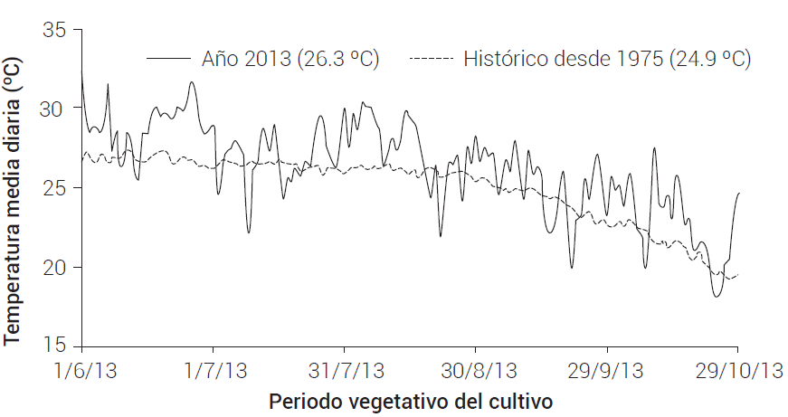 Temperatura registrada durante el periodo de
crecimiento del cultivo. Gómez Palacio, Durango, 2013.