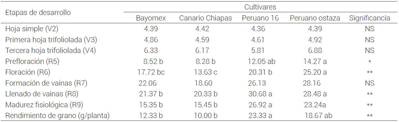 Contenido de materia seca (g/planta) y comparación de medias entre cultivares de frijol común de hábito decrecimiento determinado por etapas de desarrollo.