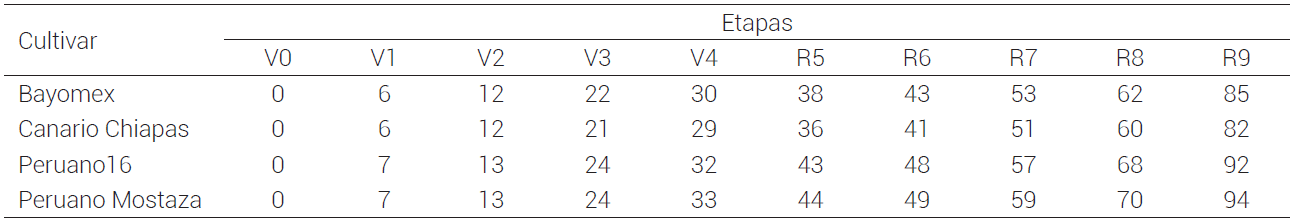 Inicio y duración de las etapas de desarrollo de los cultivares de frijol expresados en número de días.