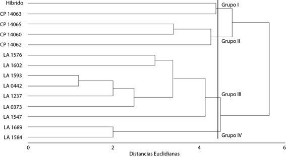 Dendrograma de 13 poblaciones nativas y silvestres y un híbrido comercial, con base en 13 variables agronómicas evaluadas en los ciclos primavera-verano de 2015 y 2016 en Montecillo, México.