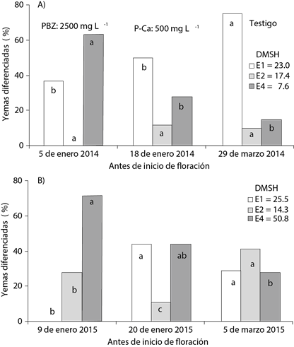 Porcentaje de yemas diferenciadas ocho días antes de inicio a floración de mango ‘Ataulfo’, durante dos ciclos de floración. A) primer ciclo; B) segundo ciclo. La fecha en ambos ciclos corresponde al momento en que se presentó E4. E1) Yema vegetativa. E2) Iniciación floral. E4) Yema diferenciada. DMSH = Diferencia mínima significativa honesta.