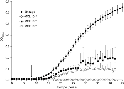 Efecto inhibitorio del bacteri&oacute;fago ΦRSP sobre cultivos l&iacute;quidos de R. solanacearum con diferentes multiplicidades de infecci&oacute;n (MOI&acute;s). La flecha indica el punto en el que se adicion&oacute; el fago al cultivo. El bacteri&oacute;fago impide el crecimiento bacteriano, aun bajo condiciones en las que se utiliza un bacteri&oacute;fago por cada mill&oacute;n de bacterias.