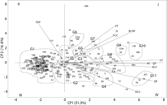 Biplot de 222 ejemplares de Carica papaya elaborado con los dos primeros CP de 10 caracter&iacute;sticas morfol&oacute;gicas. Para los acr&oacute;nimos de las caracter&iacute;sticas ver Cuadro 2.