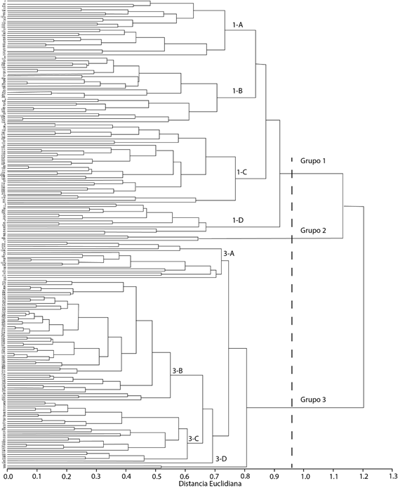 Dendrograma de 222 ejemplares de C. papaya generado con distancias euclidianas con base en 10 caracter&iacute;sticas morfol&oacute;gicas y el m&eacute;todo de agrupamiento UPGMA.