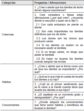 Pauta de preguntas de entrevistas en profundidad.