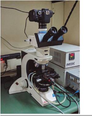 Microscopio &oacute;ptico utilizado para evaluar AR