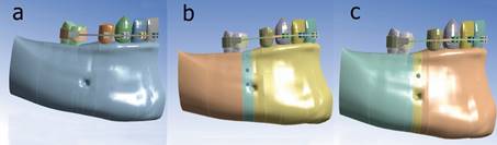 a) Sin Mops (control); b) Mops adyacentes a 1 mm del primer molar; c) Mops a 4 mm del molar (en el centro entre molar y premolar).