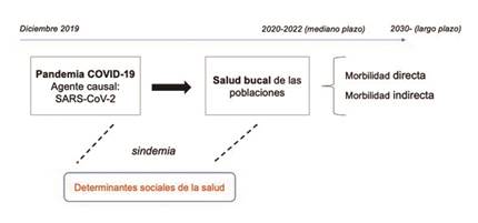 Consecuencias de la pandemia por COVID-19 en la salud bucal de las poblaciones mediado por determinantes sociales de la salud, con repercusiones a corto, mediano y largo plazo, en morbilidad directa e indirecta.