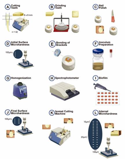 Schematic representing the laboratory stages developed.