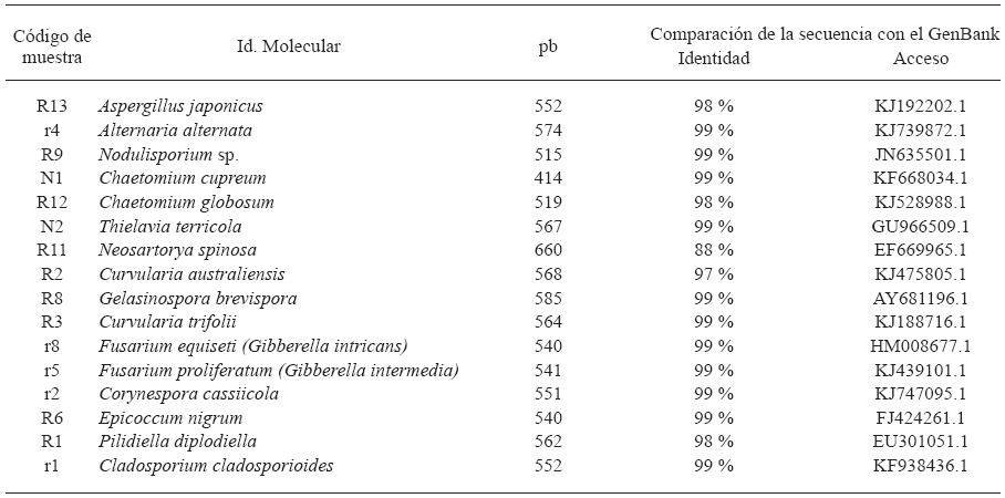Coeficientes de correlaci&oacute;n entre las variables de almacenamiento evaluadas en Ayutla y Las Mesas.