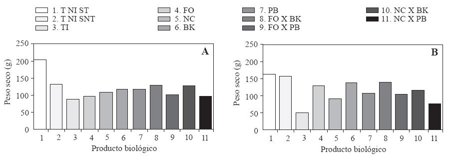 Efecto de productos biológicos sobre el peso seco de la parte aérea de plantas de chile de árbol (Capsicum annuum L.) cultivadas en suelos con y sin inoculación con Phytophthora capsici y tratadas con FO=Fus out(r) (Trichoderma harzianum), NC=Natucontrol(r) (Trichoderma harzianum), BK=Baktillis(r) (Bacillus subtilis) o PB=Probac(r) (Bacillus subtilis) solos o combinados en el experimento 1 (A) y 2 (B). T NI-ST: Testigo no inoculado-suelo esterilizado; T NI-SNT: Testigo no inoculado-suelo no esterilizado; TI: Testigo inoculado. La cepa de P. capsici fue aislada de chile de árbol de la VMH. La inoculación se realizó con 105 zoosporas por planta. Promedios de 12 repeticiones. Medias con la misma letra son estadísticamente iguales (Tukey p= 0.05).