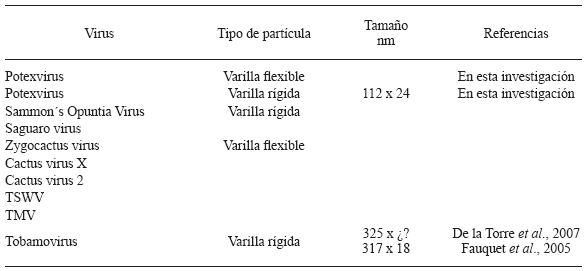 Tipo y tama&ntilde;o de part&iacute;cula viral en el purificado parcial obtenido de cladodios de nopal verdura con manchas anulares clor&oacute;ticas. Cuautepec de Hinojosa, Hidalgo.