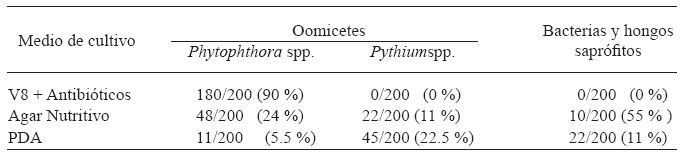 Porcentaje de microorganismos aislados de plantas de pi&ntilde;a (Ananascomosus L. Merril) cultivar MD-2 con signos y s&iacute;ntomas de pudrici&oacute;n del cogollo. Isla, Veracruz, M&eacute;xico, Verano del 2011.