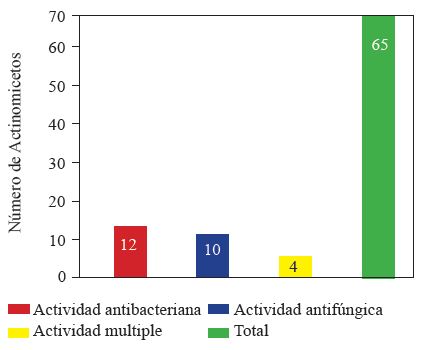 Actividad antagonista (m&uacute;ltiple, antibacteriana y antif&uacute;ngica) de actinomicetos.