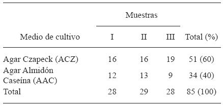 Actinomicetos aislados de pilas de compostaje en proceso final, en el predio "Casa Blanca", ubicado en Lur&iacute;n, Lima, Per&uacute;.