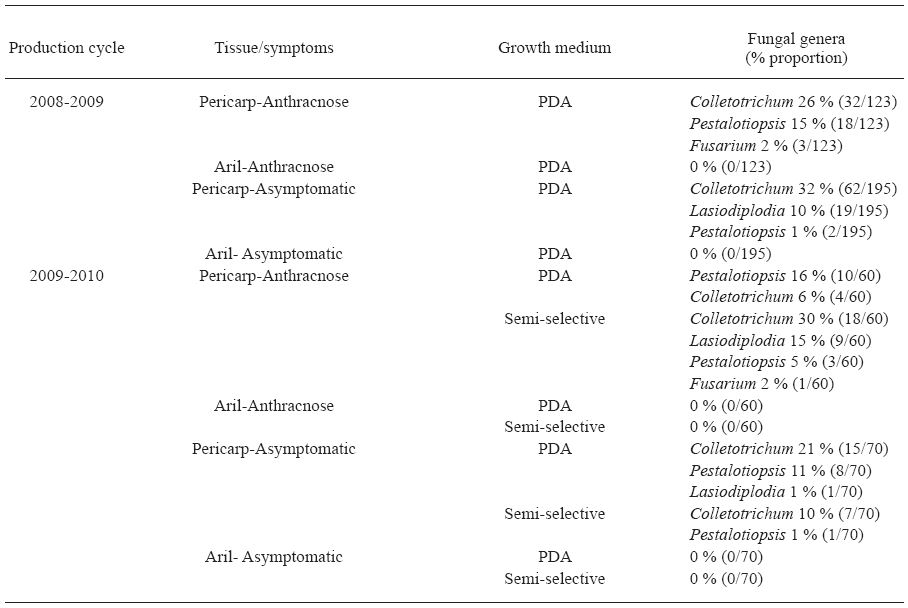 G&eacute;neros de hongos aislados de frutos de litchi sintom&aacute;ticos y asintom&aacute;ticos (cultivar Brewster), en San Jos&eacute; Chiltepec, Oaxaca.