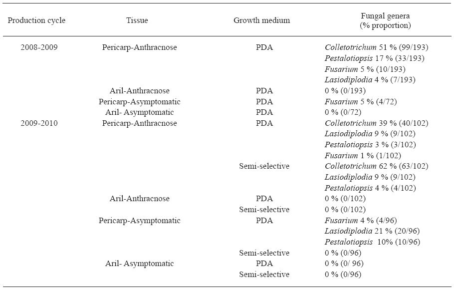 G&eacute;neros de hongos aislados de frutos de litchi sintom&aacute;ticos y asintom&aacute;ticos (cultivar Mauritius), en San Juan Cotzoc&oacute;n, Oaxaca.
