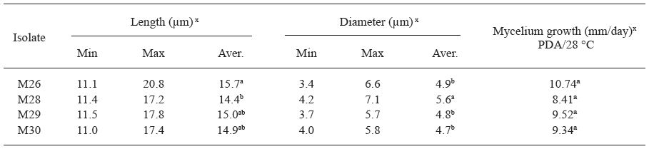 Tama&ntilde;o de conidio y tasas de crecimiento miceliar de los aislamientos M26 y M28-M30 de C. gloeosporioides obtenidos de frutos de litchi con s&iacute;ntomas de antracnosis en San Jos&eacute; Chiltepec y Loma Bonita, Oaxaca (ciclo de producci&oacute;n 2009-2010).