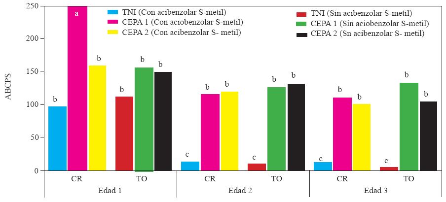 Experimento 2. Efecto de interacci&oacute;n Edad de la planta X Inductor de Resistencia X Inoculaci&oacute;n con Phytophthora capsici sobre el &aacute;rea bajo la curva del progreso de la severidad de la marchitez del chile serrano (Capsicum annuum L.) cultivados en suelo no esterilizado de la Vega de Metztitl&aacute;n Hidalgo (VMH). Las cepas del oomiceto fueron aisladas de plantas de chile serrano de la VMH. La inoculaci&oacute;n de realiz&oacute; con 105  zoosporas por planta a los 45 d&iacute;as despu&eacute;s del trasplante. Medias de veinte repeticiones. Las medias con la misma letra son estad&iacute;sticamente iguales (Tukey α = 0.5). Edad 1,2 y 3 = trasplante a 45, 30 y 15 d&iacute;as despu&eacute;s de la siembra. CI = con acibenzolar S-metil. SI = sin inductor de resistencia. TNI = testigo no inoculado con P. capsici, suelo no esterilizado.