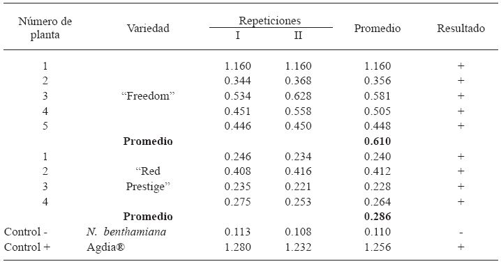  Absorbancia a 405 nm en la prueba DAS-ELISA de tejido foliar de dos variedades comerciales de nochebuena (Euphorbia pulcherrima).