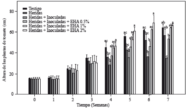 Evaluación de la altura de plantas de tomate inoculadas y no-inoculadas con Forl y tratadas con extracto de ajo con diferentes concentraciones. Los valores son la media de tres repeticiones de 10 plantas cada una. Las barras verticales representan la desviación estándar (n=3). Letras diferentes significa diferencia significativa entre tratamientos de acuerdo con Tukey-Kramer para P≤0.05. El experimento se repitió dos veces.