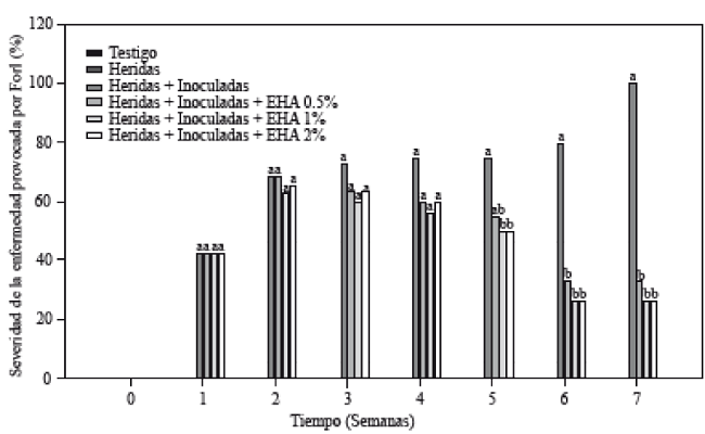 Porcentaje de severidad de la enfermedad provocada por Forl en plantas de tomate inoculadas y no-inoculadas con Forl y tratadas con diferentes concentraciones de extracto de ajo. Los valores son la media de tres repeticiones de 10 plantas cada una. Letras diferentes significa diferencia significativa entre tratamientos de acuerdo con Tukey-Kramer para P≤0.05. El experimento se repitió dos veces.