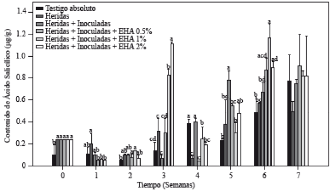 Concentración de ácido salicílico en plantas de tomate inoculadas y no-inoculadas con Forl y tratadas con diferentes concentraciones de extracto de ajo. Los valores son la media de tres repeticiones de 10 plantas cada una. Las barras verticales representan la desviación estándar (n=3). Letras diferentes significa diferencia significativa entre tratamientos de acuerdo con Tukey-Kramer para p≤0.05. El experimento se repitió dos veces.