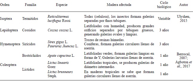 Principales insectos xil&oacute;fagos y las caracter&iacute;sticas de los da&ntilde;os que ocasiona en la madera.