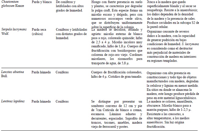 Principales hongos causantes pudrici&oacute;n blanca y parda en madera (Guill&eacute;n et al., 2005; Schwarze, 2007; Singh y Singh, 2014).