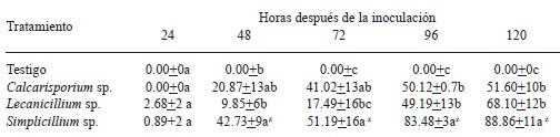Evaluaci&oacute;n del porcentaje de parasitismo de tres microorganismos sobre p&uacute;stulas de roya de caf&eacute; (Hemileia vastatrix) en condiciones in vitro.