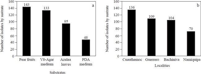 Aislados de Mortierella asociados con la rizosfera de manzanos enfermos en cuatro de las principales localidades productoras de manzana en el estado de Chihuahua, M&eacute;xico; a) n&uacute;mero de aislados obtenidos por sustrato; b) n&uacute;mero de aislados obtenidos por localidad.