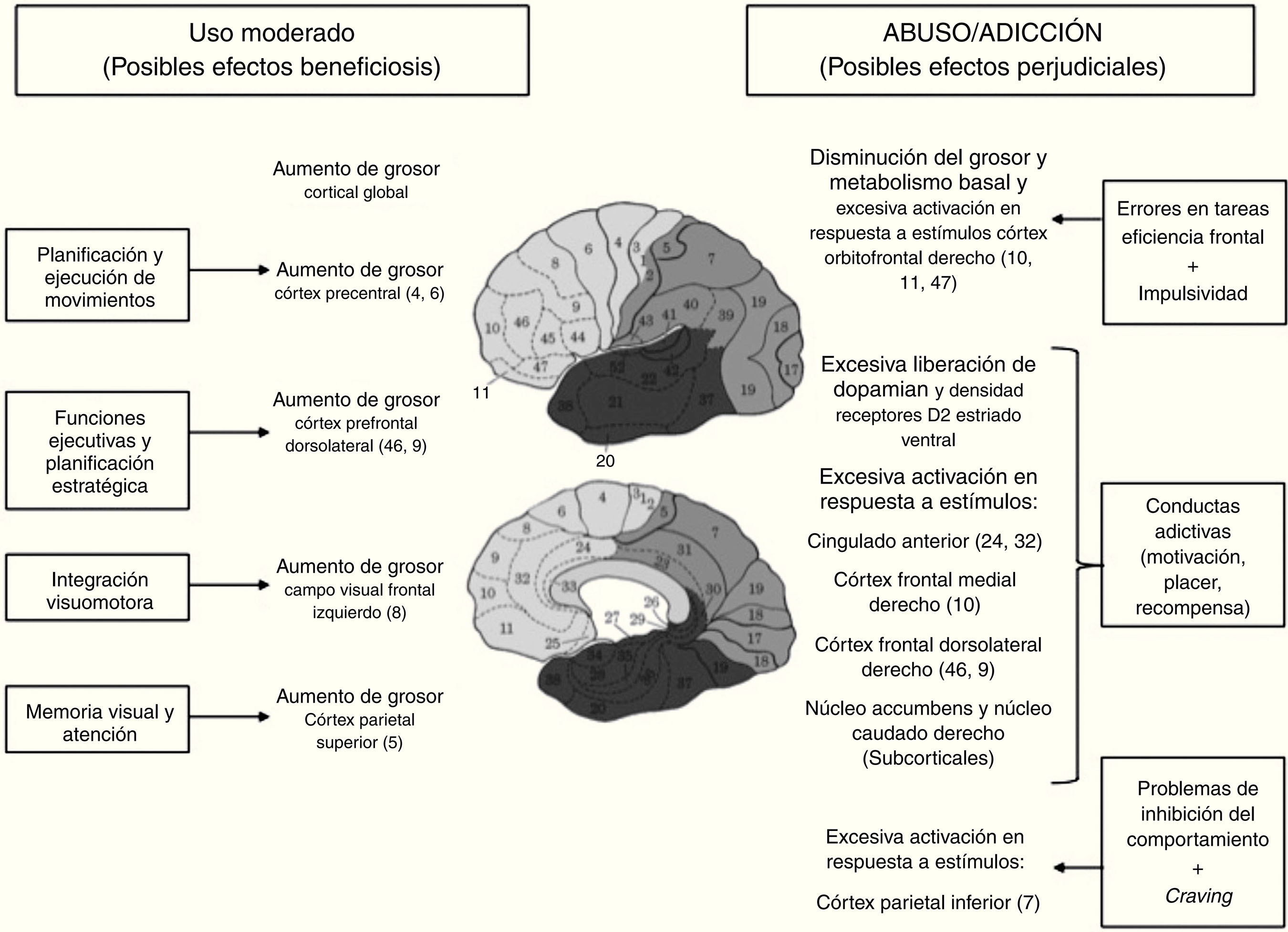 Implicaciones neurobiológicas de los videojuegos.