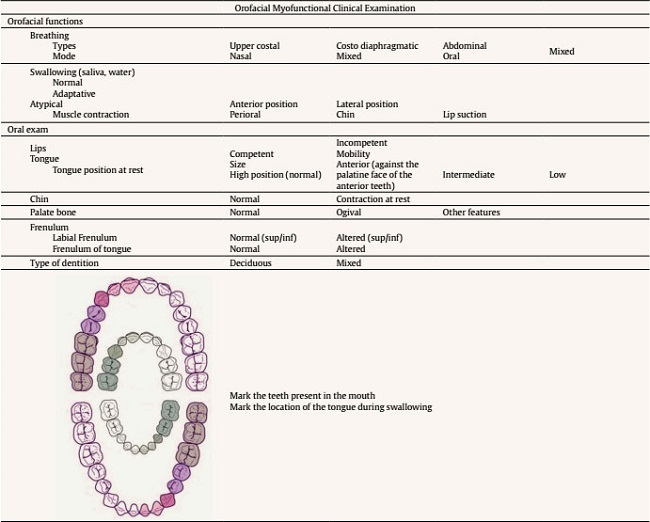Orofacial Myofunctional Clinical Examination