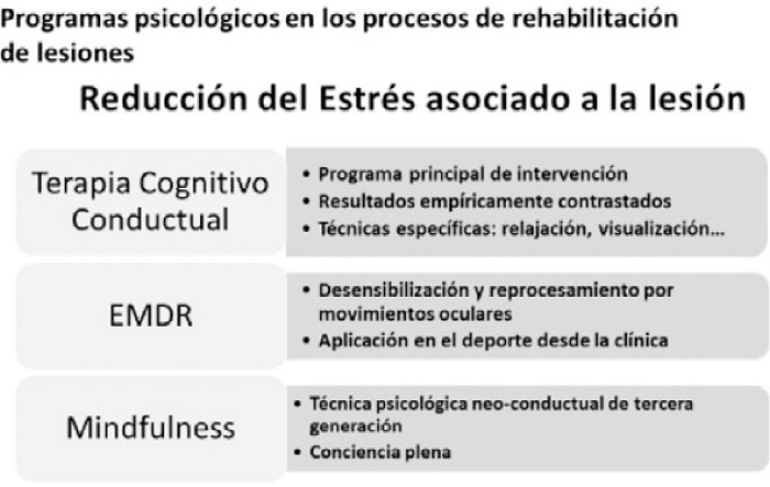 Programas psicol&oacute;gicos en la rehabilitaci&oacute;n del deportista lesionado