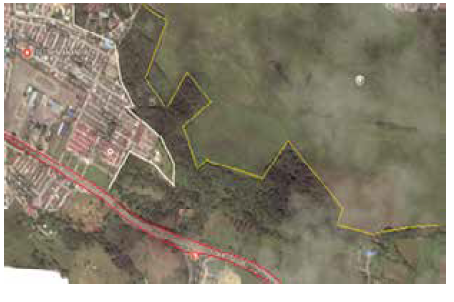 Humedal Coroncoro: Zonas Verdes 