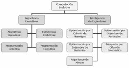 Taxonom&iacute;a de la computaci&oacute;n evolutiva [8]