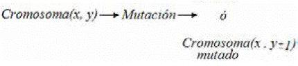 Mutaci&oacute;n entre cromosomas. Construcci&oacute;n propia