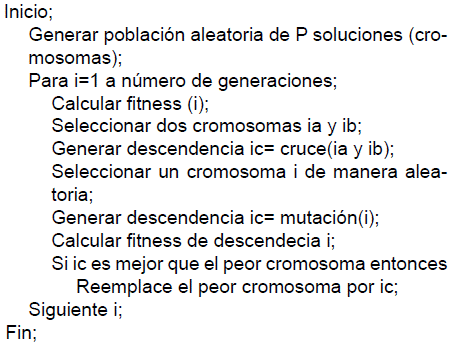 Descripci&oacute;n del algoritmo gen&eacute;tico. Construcci&oacute;n propia