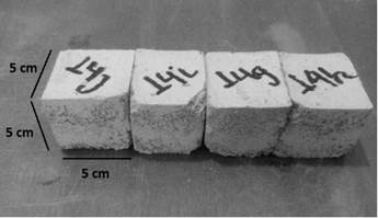 Muestra - Grupo experimental XIV en el laboratorio de la empresa Concretos y morteros.
