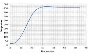 Horno programado a 520&deg;C. Llega hasta 470&deg;C
